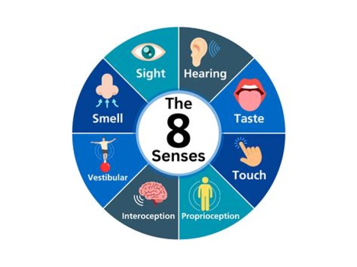 Why do we need to add the 5 senses into your writing?