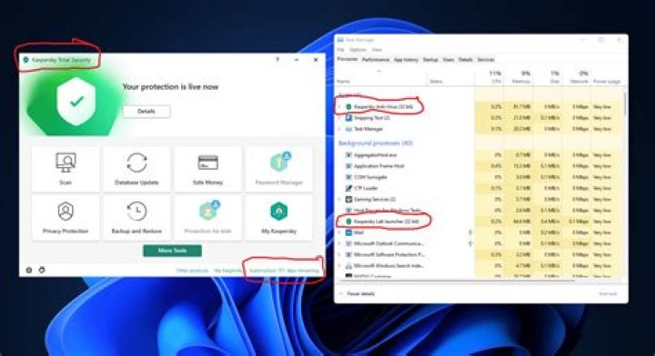 Why is Bitdefender using so much memory?