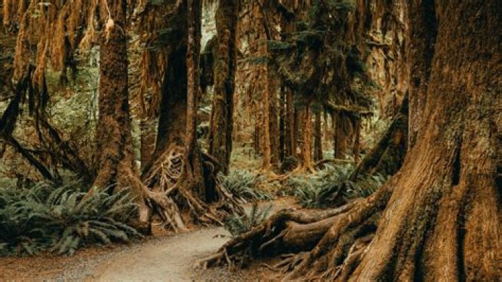 Why is Matt Stafford not the Hall of Famer?