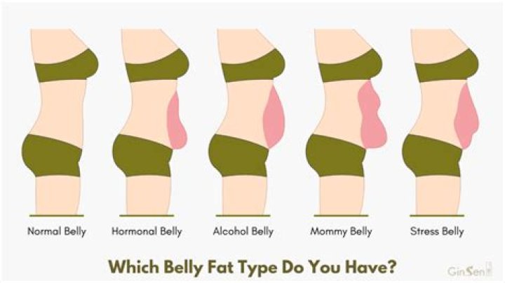 Why is my belly fat so jiggly?