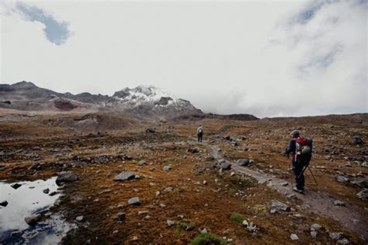 Why is Rocky poor in Creed?
