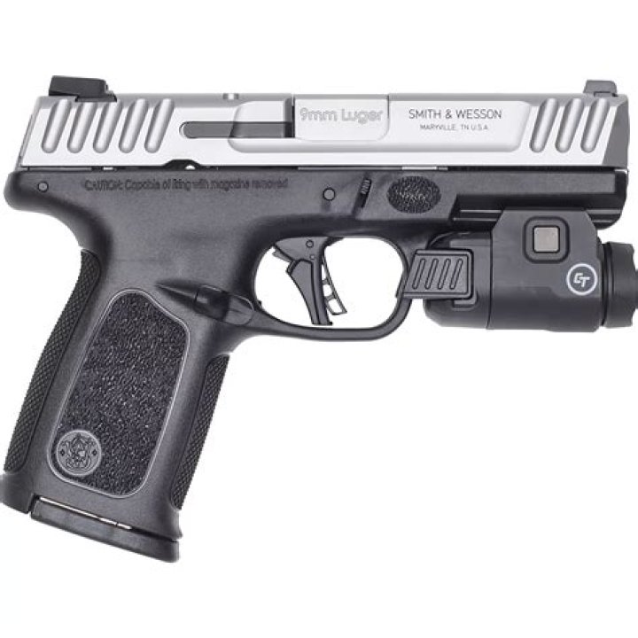 Why is Smith and Wesson so popular?