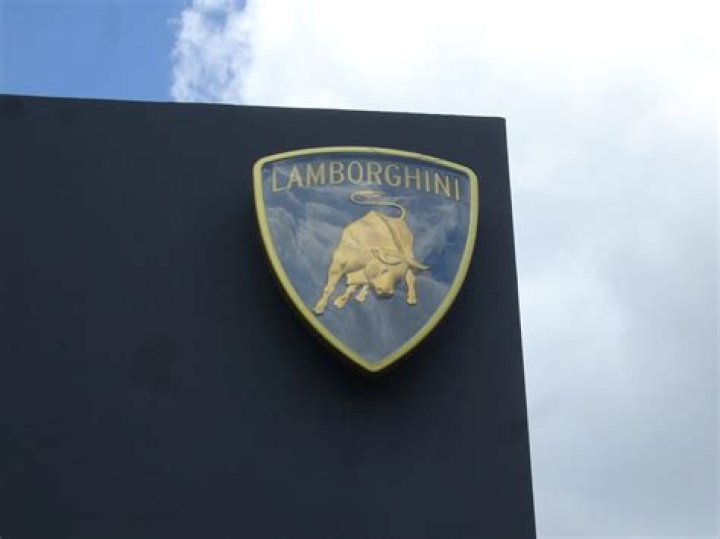 Why is the Lamborghini logo Bull?