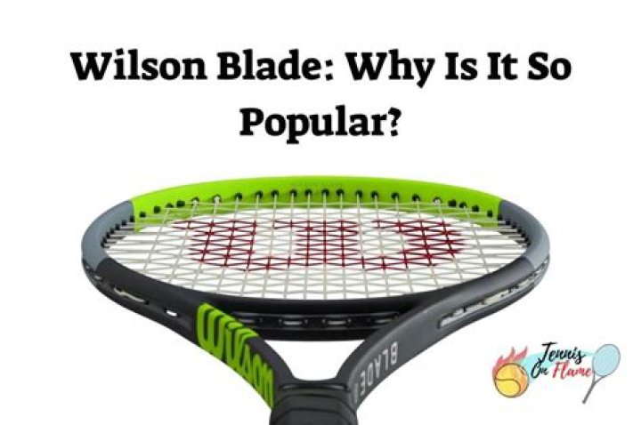 Why is the Wilson blade so popular?