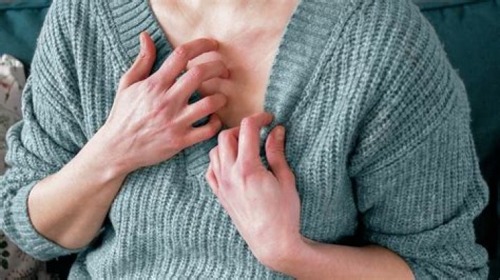 Why should I go to Homer?